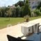 Johannes Apartments_holidays_in_Apartment_Dodekanessos Islands_Rhodes_Lindos