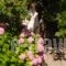 Armonia Samothraki Rooms_best deals_Room___