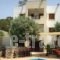 Vrisi Apartments & Villa_accommodation_in_Villa_Crete_Heraklion_Tymbaki