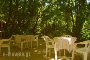 Armonia Samothraki Rooms_best prices_in_Room___
