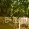 Armonia Samothraki Rooms_best prices_in_Room___