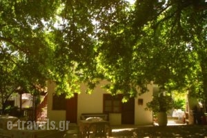 Armonia Samothraki Rooms_lowest prices_in_Room___