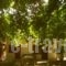 Armonia Samothraki Rooms_lowest prices_in_Room___