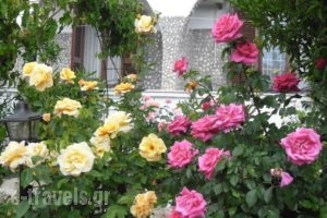 Villa Maria_lowest prices_in_Villa_Thessaly_Magnesia_Pilio Area