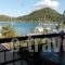 Penelope Studios_accommodation_in_Hotel_Ionian Islands_Lefkada_Lefkada Rest Areas
