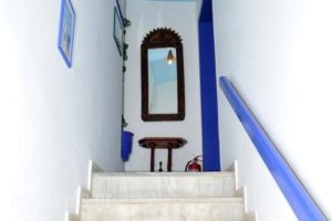 Delfini Hotel_best prices_in_Hotel_Piraeus islands - Trizonia_Hydra_Hydra Chora
