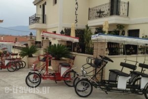 Epavlis Boutique_accommodation_in_Hotel_Central Greece_Fokida_Galaxidi