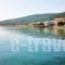 Nontas Hotel_lowest prices_in_Hotel_Piraeus islands - Trizonia_Aigina_Aigina Rest Areas