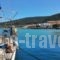 Nontas Hotel_best deals_Hotel_Piraeus islands - Trizonia_Aigina_Aigina Rest Areas