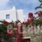 Tagoo Studios_holidays_in_Hotel_Cyclades Islands_Mykonos_Mykonos Chora