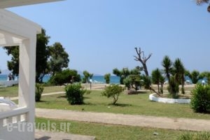 Byron Apartments_lowest prices_in_Apartment_Dodekanessos Islands_Kos_Kos Rest Areas