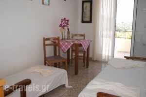 Aristotelis Apartments_best prices_in_Apartment_Ionian Islands_Kefalonia_Kefalonia'st Areas