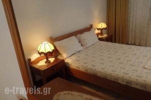 Antique The Hotel_lowest prices_in_Hotel_Macedonia_Pieria_Olympiaki Akti