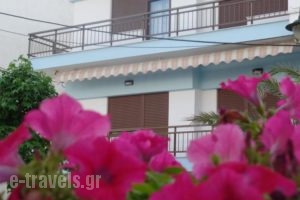 Antique The Hotel_accommodation_in_Hotel_Macedonia_Pieria_Olympiaki Akti