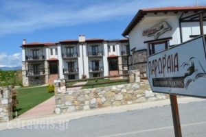 Paroraia_holidays_in_Hotel_Macedonia_Serres_Agistro