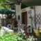 Sante_holidays_in_Hotel_Macedonia_Halkidiki_Kassandreia