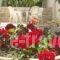 Antonios Hotel Apartments_best deals_Apartment_Crete_Heraklion_Matala