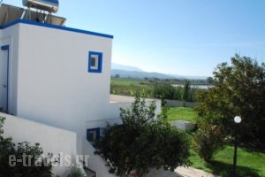 Hotel Tigaki's Star_lowest prices_in_Hotel_Dodekanessos Islands_Kos_Kos Rest Areas