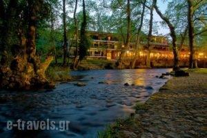 Hotel Vermion_accommodation_in_Hotel_Macedonia_Imathia_Naousa