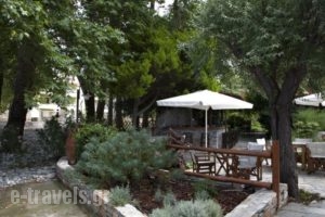 Hotel Morfeas_lowest prices_in_Hotel_Macedonia_Pieria_Dion