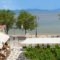 Blu_travel_packages_in_Central Greece_Fthiotida_Glyfa