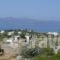 Villa Harmonia_best prices_in_Villa_Cyclades Islands_Naxos_Naxos Chora