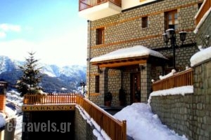 Archontiko Metsovou Luxury Boutique Hotel_travel_packages_in_Epirus_Ioannina_Metsovo