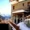 Archontiko Metsovou Luxury Boutique Hotel_travel_packages_in_Epirus_Ioannina_Metsovo