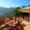 Archontiko Metsovou Luxury Boutique Hotel_best prices_in_Hotel_Epirus_Ioannina_Metsovo