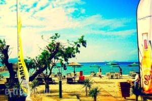Akti Dimis Hotel_best deals_Hotel_Dodekanessos Islands_Kos_Kos Rest Areas