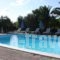 Drosia Rooms_best prices_in_Room_Ionian Islands_Kefalonia_Kefalonia'st Areas