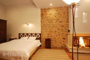 Hotel Parnassos_best deals_Hotel_Central Greece_Fokida_Delfi