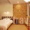 Hotel Parnassos_best deals_Hotel_Central Greece_Fokida_Delfi