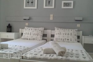 Icarus Rooms_accommodation_in_Room_Cyclades Islands_Paros_Paros Chora