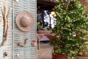 Hotel Vasiliki Beach_travel_packages_in_Ionian Islands_Zakinthos_Zakinthos Chora