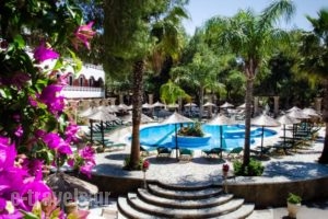 Hotel Vasiliki Beach_holidays_in_Hotel_Ionian Islands_Zakinthos_Zakinthos Chora