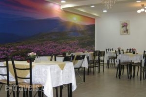 Iokasof Rooms_holidays_in_Room_Epirus_Ioannina_Ioannina City