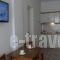 Loginos Studios_best deals_Hotel_Macedonia_Halkidiki_Kassandreia