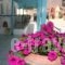Gregory Apartments_best prices_in_Apartment_Macedonia_Halkidiki_Pefkochori