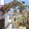 Country House Apartments_holidays_in_Apartment_Cyclades Islands_Ios_Ios Chora