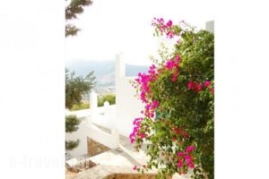 Country House Apartments_best deals_Apartment_Cyclades Islands_Ios_Ios Chora