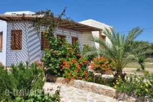 Olga Beach Villas_travel_packages_in_Crete_Lasithi_Palaekastro