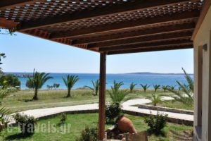 Olga Beach Villas_holidays_in_Villa_Crete_Lasithi_Palaekastro
