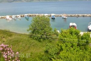 Thea Studios_lowest prices_in_Hotel_Sporades Islands_Alonnisos_Patitiri