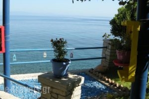 Alkioni Studios_holidays_in_Hotel_Aegean Islands_Samos_Karlovasi