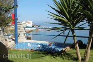 Alkioni Studios_best deals_Hotel_Aegean Islands_Samos_Karlovasi