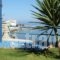 Alkioni Studios_best deals_Hotel_Aegean Islands_Samos_Karlovasi