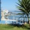 Alkioni Studios_best deals_Hotel_Aegean Islands_Samos_Karlovasi
