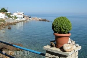 Alkioni Studios_best prices_in_Hotel_Aegean Islands_Samos_Karlovasi