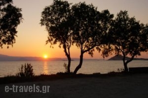 Studios Petra_travel_packages_in_Cyclades Islands_Naxos_Naxos chora